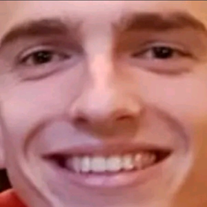 vincestick